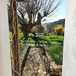Bas Verdon