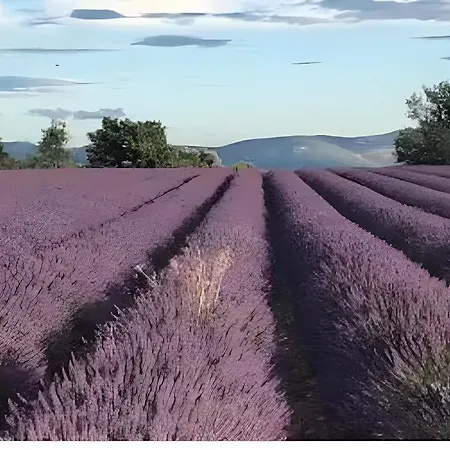 Bas Verdon Allemagne-en-Provence