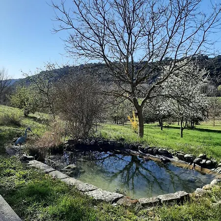 Bas Verdon Apartment Allemagne-en-Provence