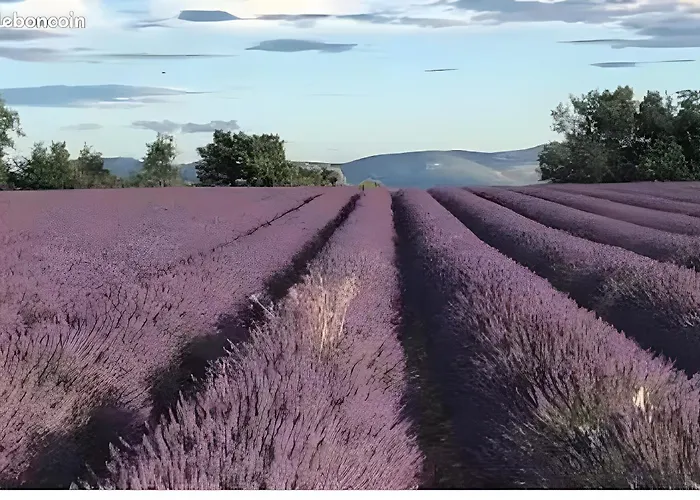 Apartment Bas Verdon