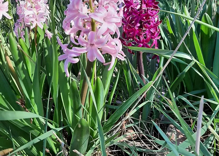 Bas Verdon Apartment Allemagne-en-Provence